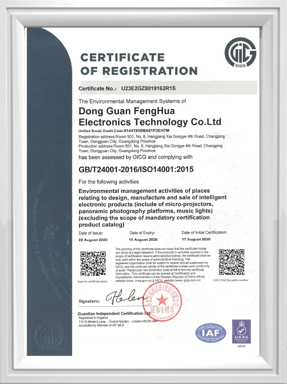 14001-GICG