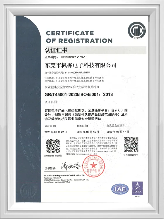 45001-GICG