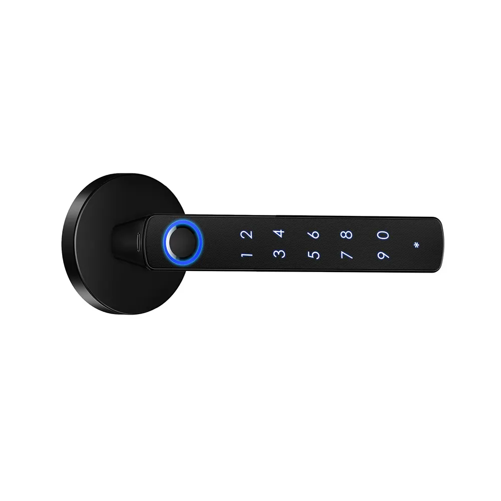 LL-201-A1 Smart Door handle Lock
