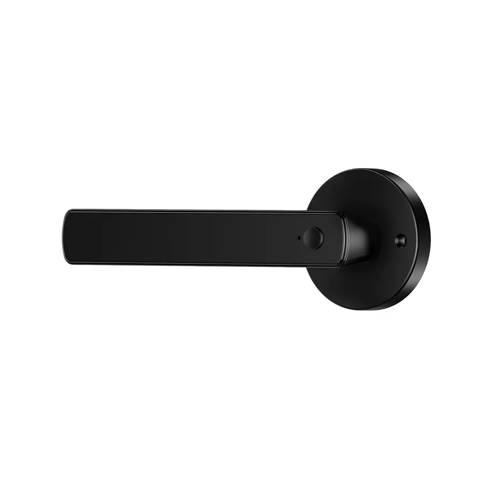 LL-201-A1 Smart Door handle Lock