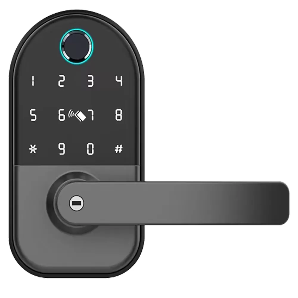 DB-203-A1 Smart Door Lock Deadbolt