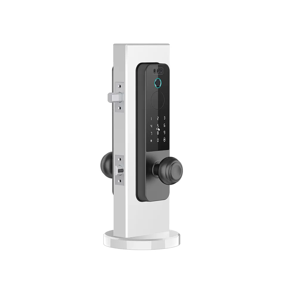 DB-204-A1 Smart Door Lock Deadbolt