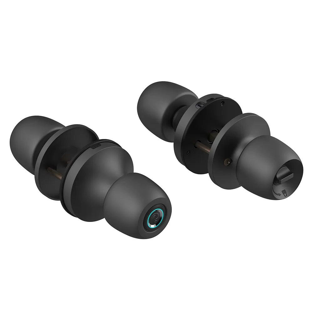 DK-201-A1 Smart Door Knob Lock