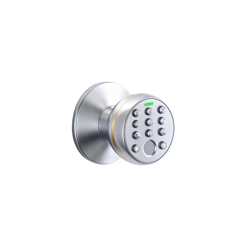 DK-202-A1 Smart Door Knob Lock