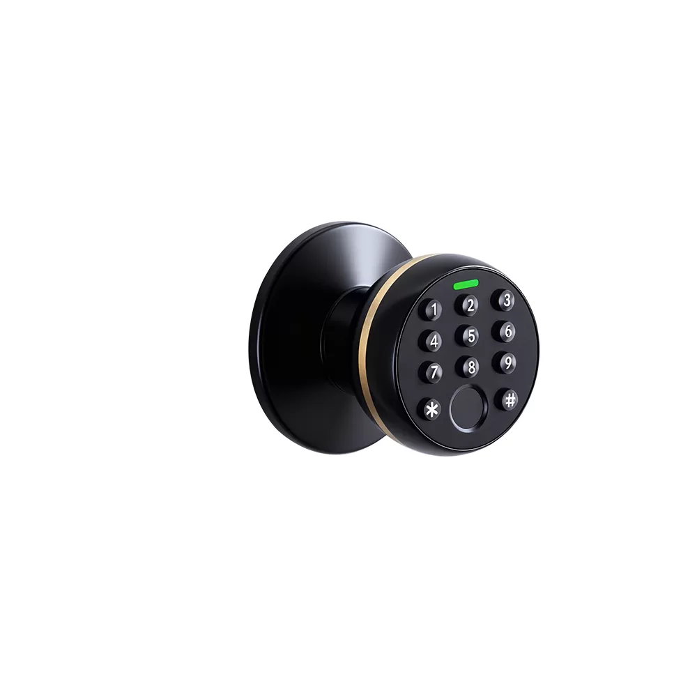 DK-202-A1 Smart Door Knob Lock