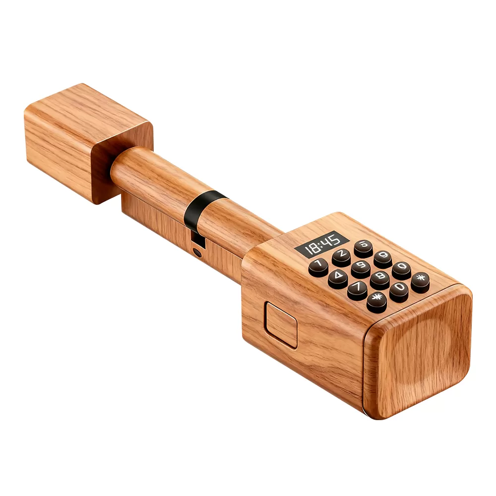 EC-202-A1 Euro-Cylinder Door Lock